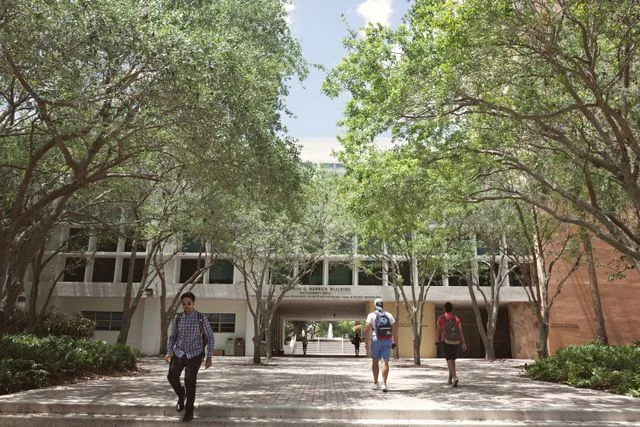 Admissão 2027: tudo o que você precisa saber para entrar na universidade no Chile